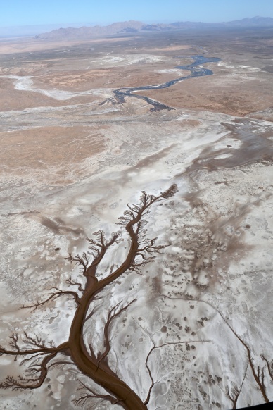 Colorado river reaches sea for first time in decades